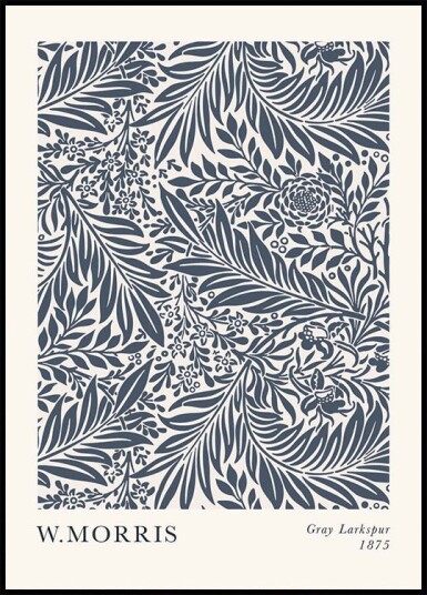 Gray Larkspur Plakat Plakat / 50x70cm