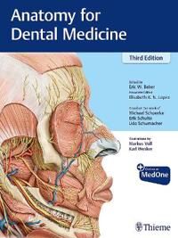 Anatomy For Dental Medicine Av Michael Schuenke, Erik Schulte, Udo Schumacher