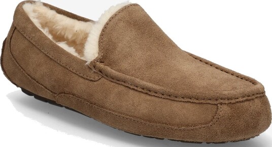 UGG M Ascot LIGHT BRONZE 41 UGG M Ascot LIGHT BRONZE 41