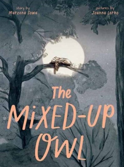 The Mixed Up Owl The Mixed Up Owl