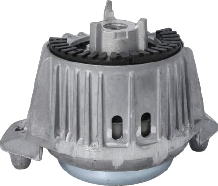 REINHOCH RH11 3119 Motorfeste