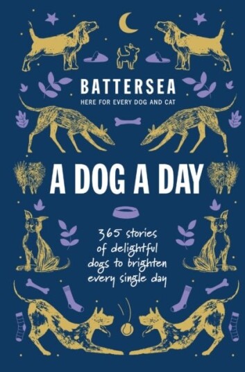 Battersea Dogs and Cats Home   A Dog a Day