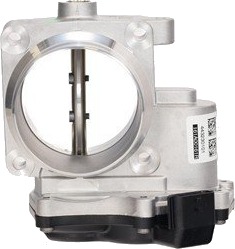 Gasspjeld RENAULT 161A00161R