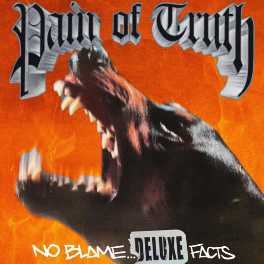 Pain Of Truth No Blame... Deluxe Facts CD
