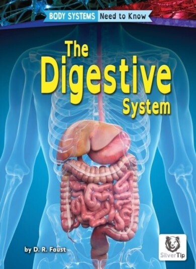 Digestive System Digestive System