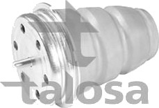 Fjærbeinslager TALOSA 63-06197