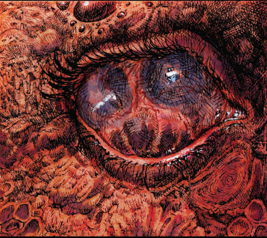 Shardik Cruelty Bacchanal CD