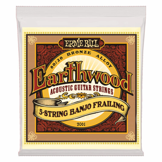 Ernie Ball EB-2061 5 String Banjo 010-024 Frailing Loop End