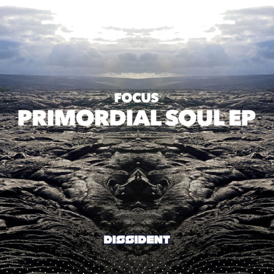 Focus Primordial Soul EP CD