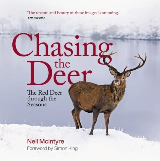 Chasing The Deer Av Neil Mcintyre
