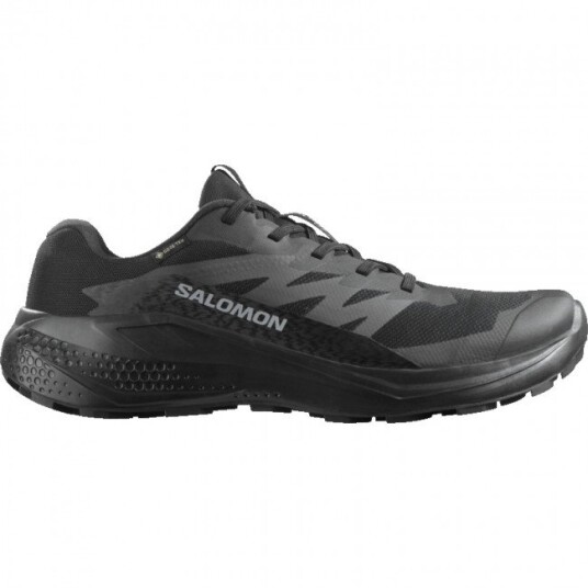 Salomon Alphaglide GTX Løpesko Herre Black/Asphalt/Black EU47 1/3 / UK12 / US12,5 Salomon Alphaglide GTX Løpesko Herre Black/Asphalt/Black EU47 1/3 / UK12 / US12,5