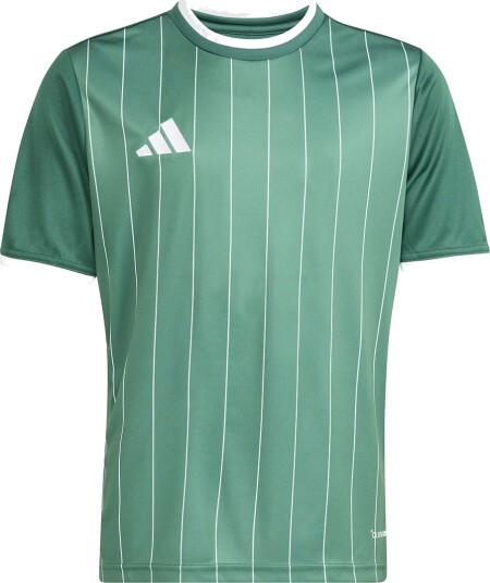 Adidas Performance T skjorte ENT26 GFX JSY Y DRKGRN/White Adidas Performance 16 år 176 T skjorte Grønn Adidas Performance T skjorte ENT26 GFX JSY Y DRKGRN/White Adidas Performance 16 år 176 T skjorte Grønn