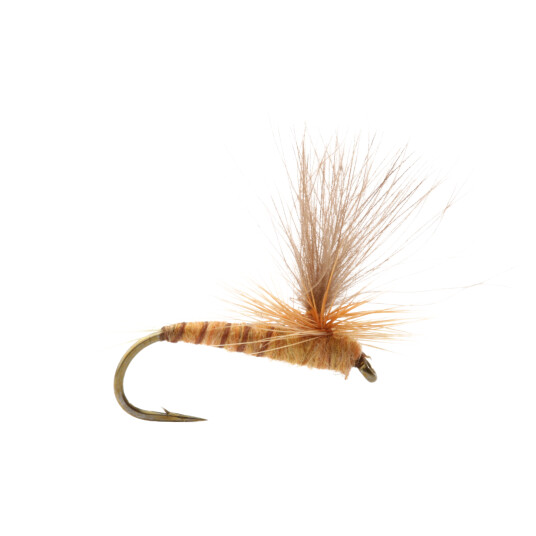 Umpqua Aurivillii - 14 oneSize none Umpqua Aurivillii - 14 oneSize none