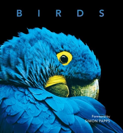 Birds  Deluxe Series