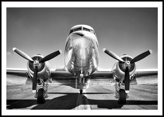 Vintage Airplane Black and White Aviation Plakat Plakat / 21x30cm