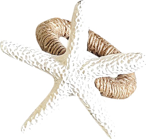 Seasons Summer Collection Serviettringer Sjøstjerne 4 pk Hvit