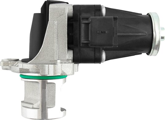 EGR Ventil Professional Parts 87431487