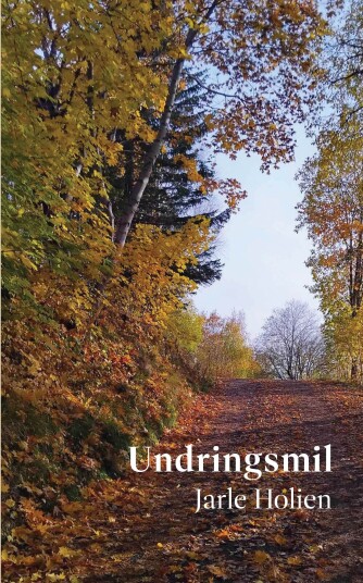 Undringsmil