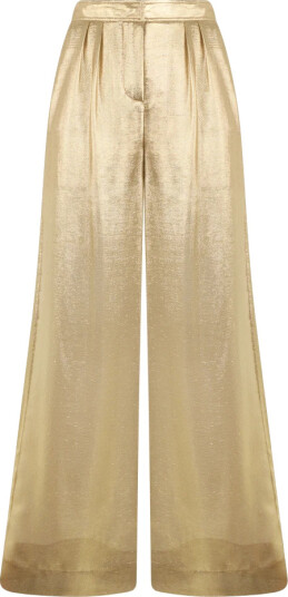 Alberta Ferretti Dame Bukser Gul L,