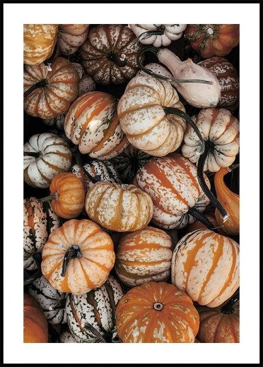 Vibrant Autumn Pumpkins Plakat Plakat / 100x150cm