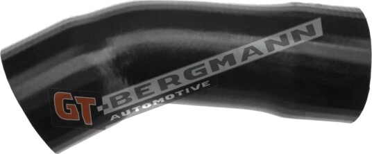 Ladeluftslange GT-BERGMANN GT52-119