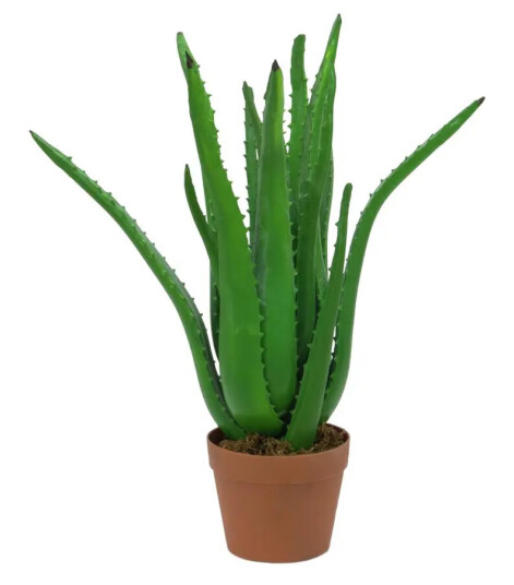 Europalms Aloe Vera-Plante, Kunstig Plante, 63 Cm (82809112)