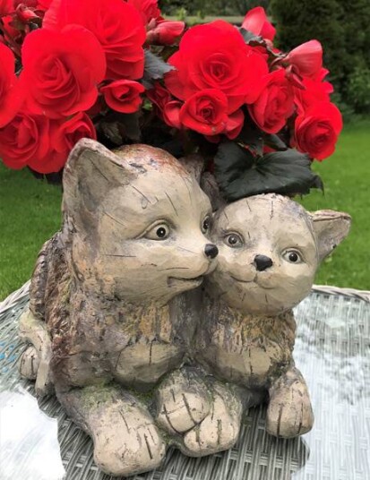 Hagepynt Katt for planting av blomster