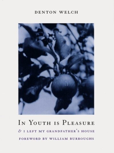 In Youth Is Pleasure