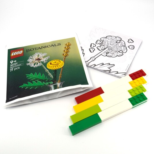 Lego Kreativitetssett Botanicals