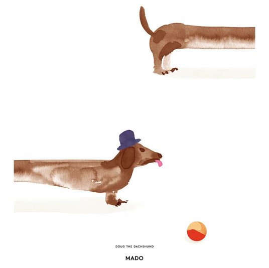 Paper Collective Doug the Dachshund poster 50x70 cm