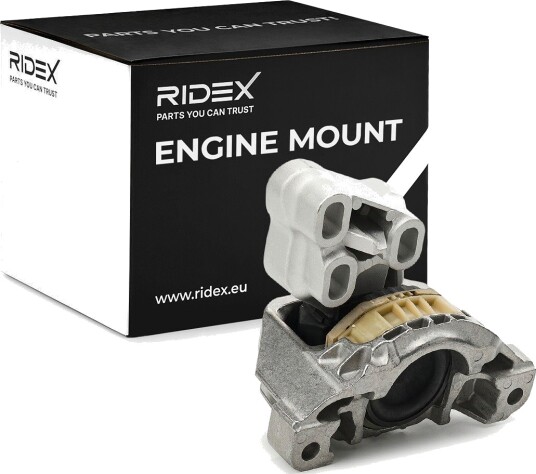 RIDEX 247E1407 Motorfeste