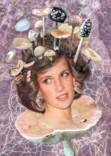 Princess Diana as Mushrooms Volume II