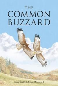 The Common Buzzard Av Sean Walls, Professor Robert Kenward