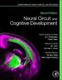 Rubenstein John Neural Circuit and Cognitive Development