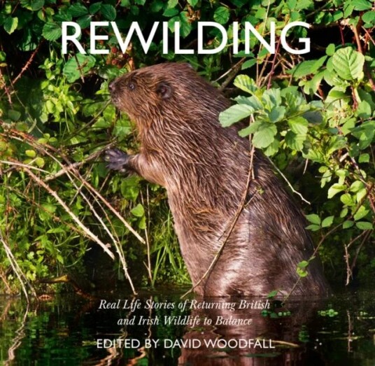 Rewilding Av David Woodfall