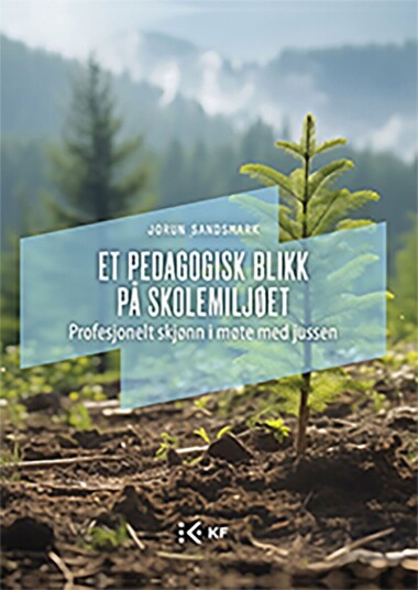 Et pedagogisk blikk på skolemiljøet