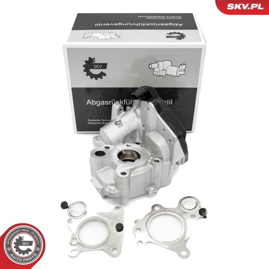 EGR Ventil ESEN SKV 14SKV259
