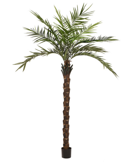 Europalms Kentia Palme Deluxe Kunstig 300 Cm (82511370)