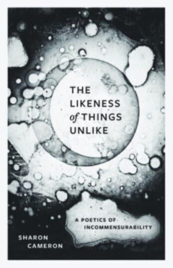 The Likeness of Things Unlike  A Poetics of Incommensurability