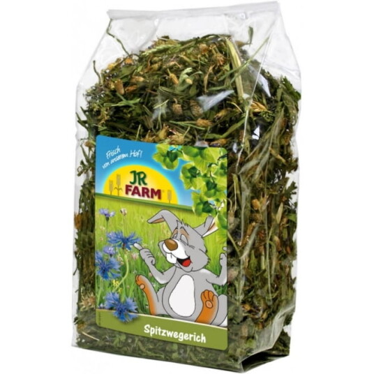 Jr Farm Groblad 100 G