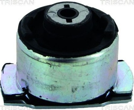 Lagring, akselskaft TRISCAN 8500 25821