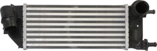 Intercooler THERMOTEC DAF013TT