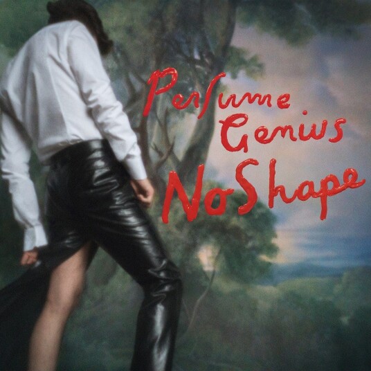 Perfume Genius  No Shape  LP/Vinyl