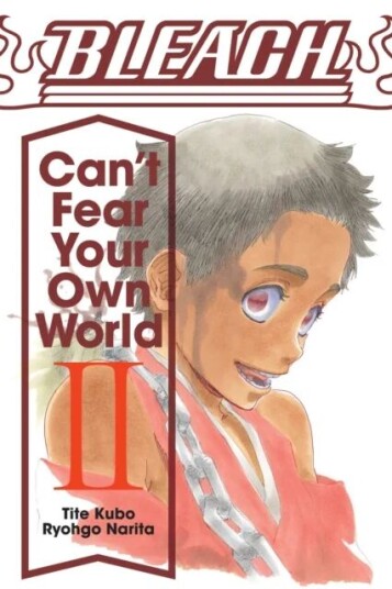 Bleach: Can'T Fear Your Own World, Vol. 2 Av Ryohgo Narita