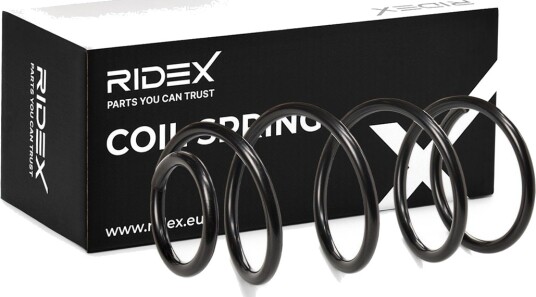 RIDEX 188C0113 Fjær RIDEX 188C0113 Fjær