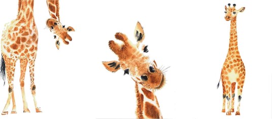Bilde Funny Giraffes 3 Parts 60x30 Artgeist sp. z o. o.