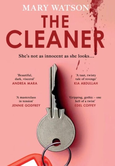The Cleaner The Cleaner