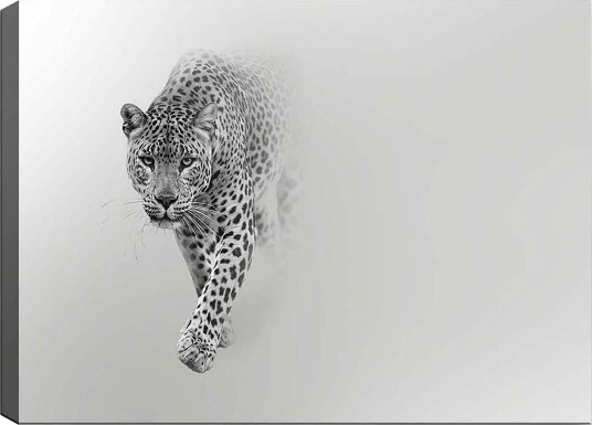 Lerretsbilde 70x100 cMajestetisk leopard som beveger seg fremover i en stilig og minimalistisk komposisjon Svart / Grå