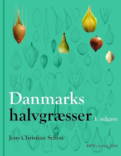 Danmarks halvgræsser