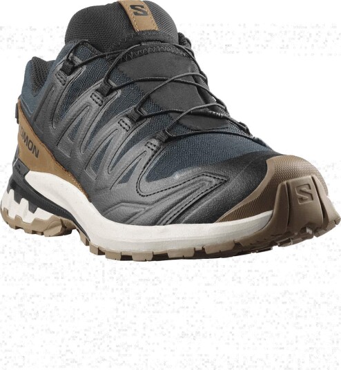 Salomon XA PRO 3D V9 GTX LIFELONG